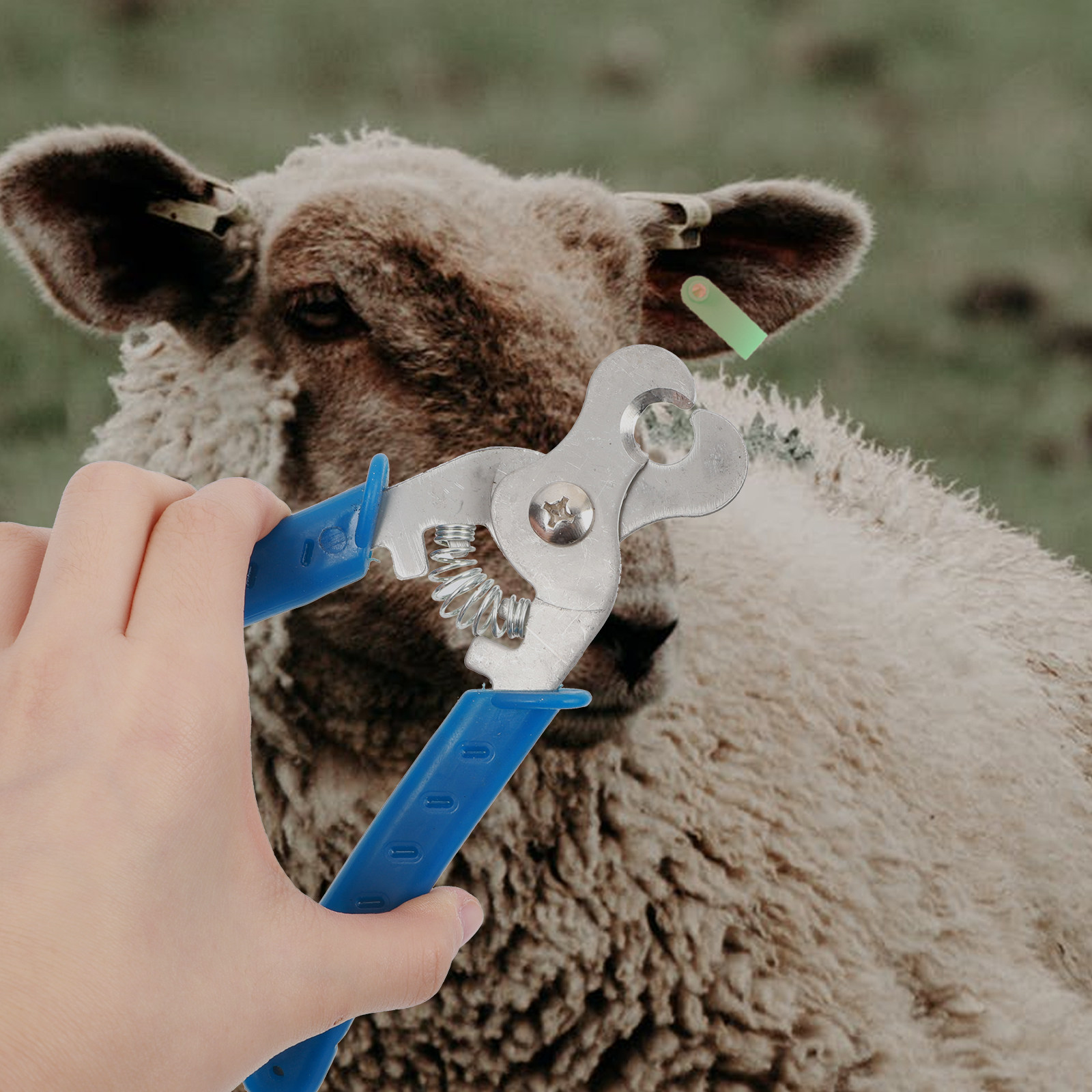 Livestock Ear Tag - 1Pcs Ear Tag Remover Stainless Steel