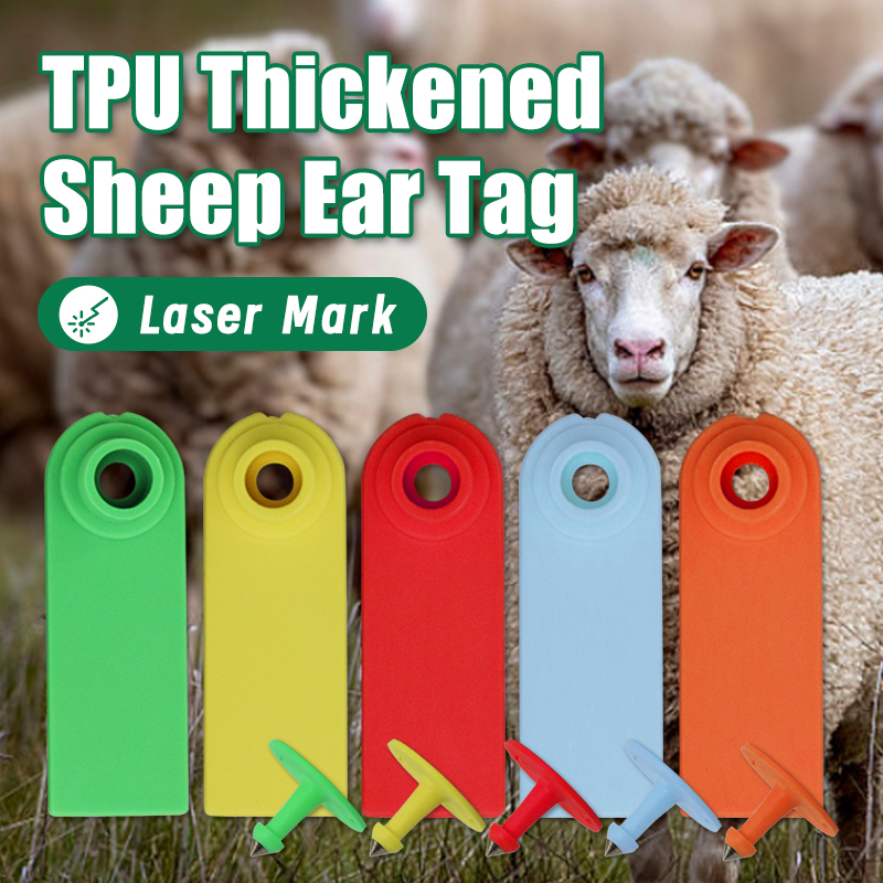 Livestock Ear Tag - 100Pcs Sheep Goat Ear Tags No