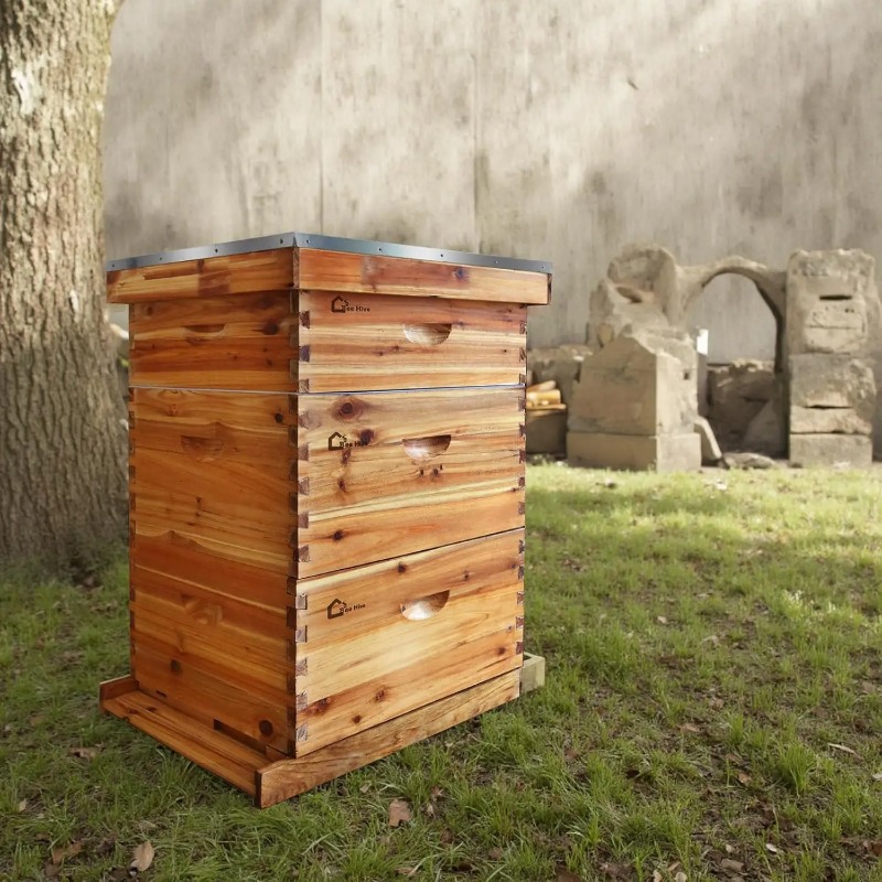 10-Frame Complete Beehive Kit, - đánh giá và giá Beehive Frame Wax