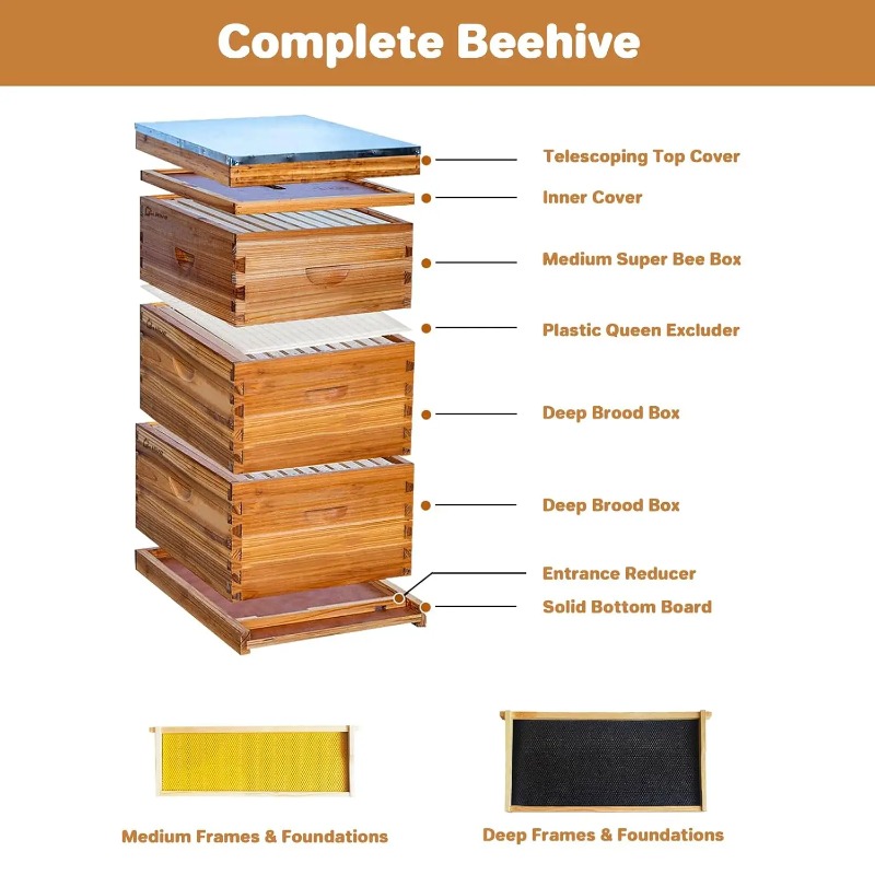 10-Frame Complete Beehive Kit, - đánh giá và giá Beehive Frame Wax