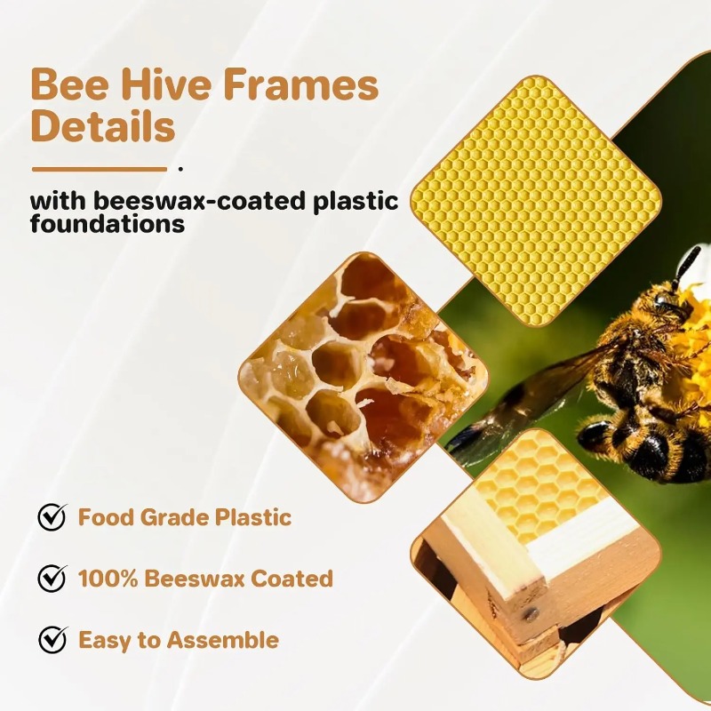 10-Frame Complete Beehive Kit, - đánh giá và giá Beehive Frame Wax