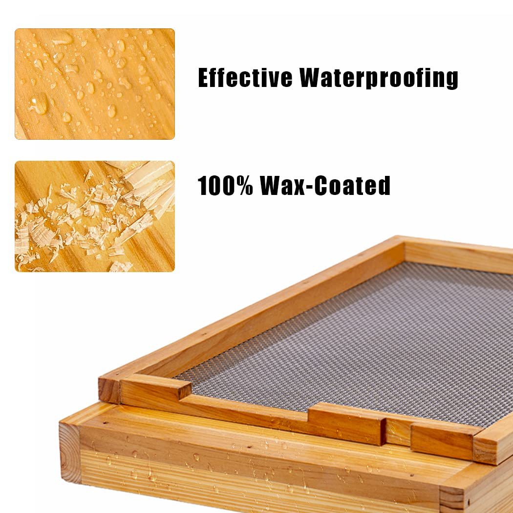 Ten-frame beehive special pump - đánh giá và giá Beehive Frame Wax