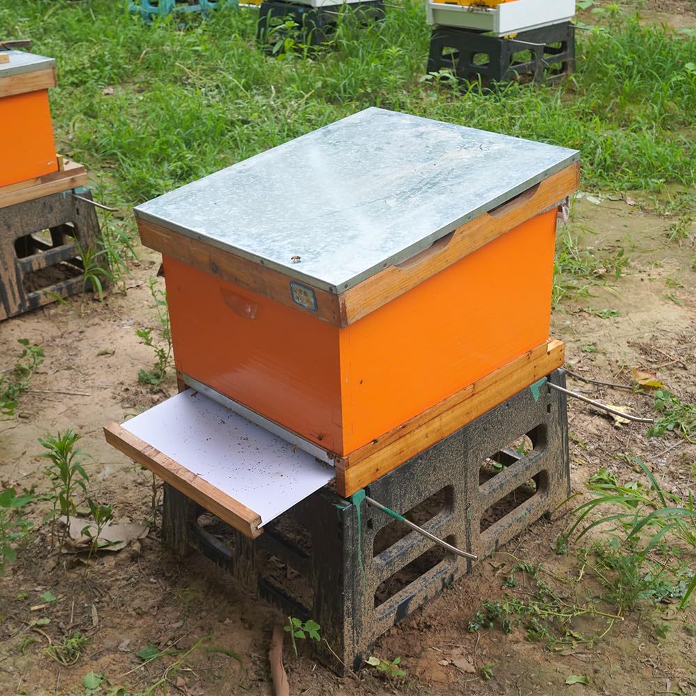 Ten-frame beehive special pump - đánh giá và giá Beehive Frame Wax