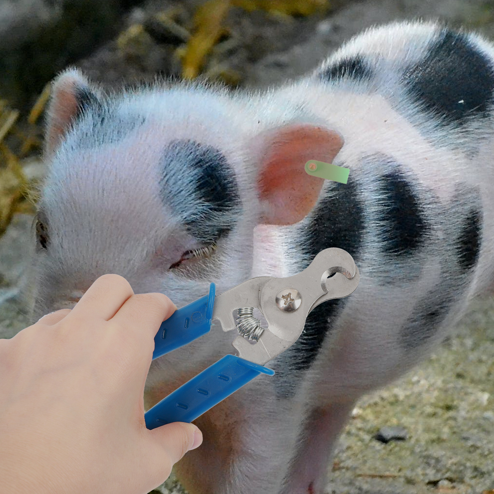 1Pcs Ear Tag Remover Stainless - đánh giá và giá Livestock Ear Tag