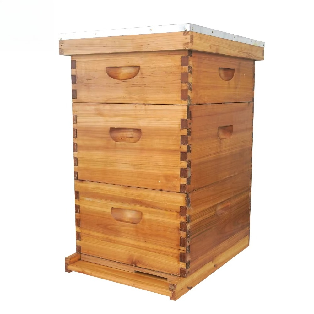 Complete 3-layer wax-soaked be - đánh giá và giá Beehive Frame Wax
