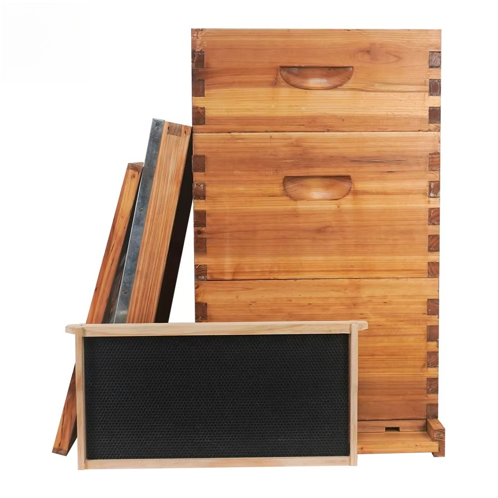 Complete 3-layer wax-soaked be - đánh giá và giá Beehive Frame Wax