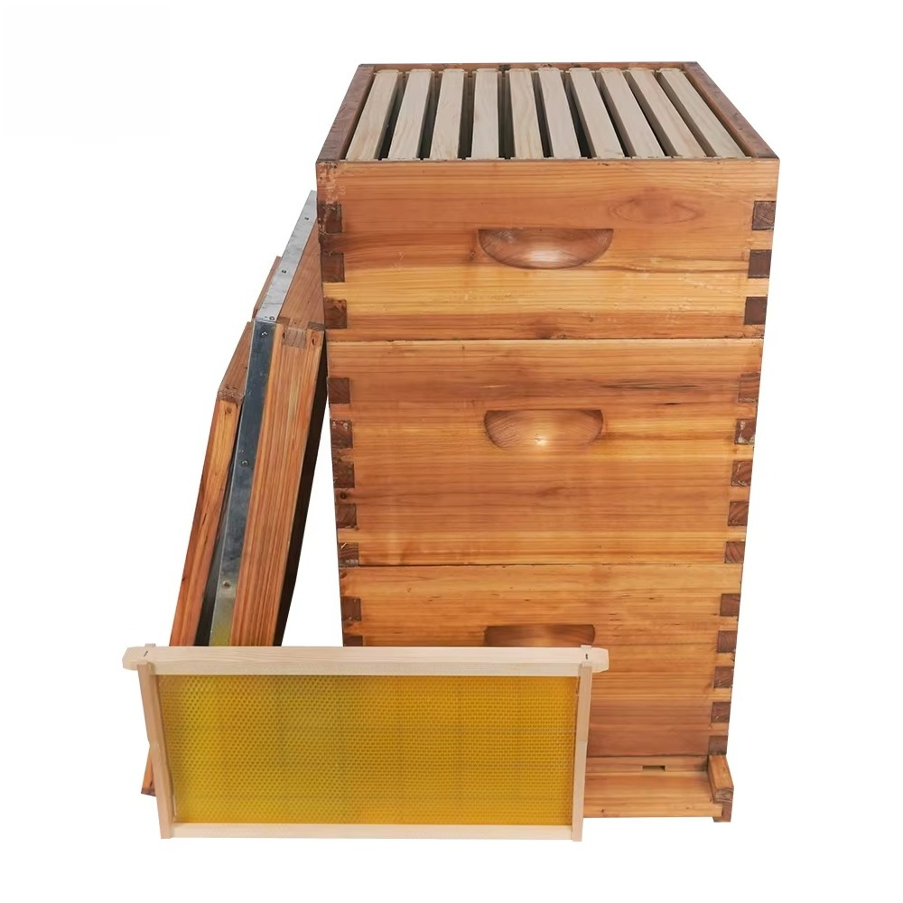Complete 3-layer wax-soaked be - đánh giá và giá Beehive Frame Wax