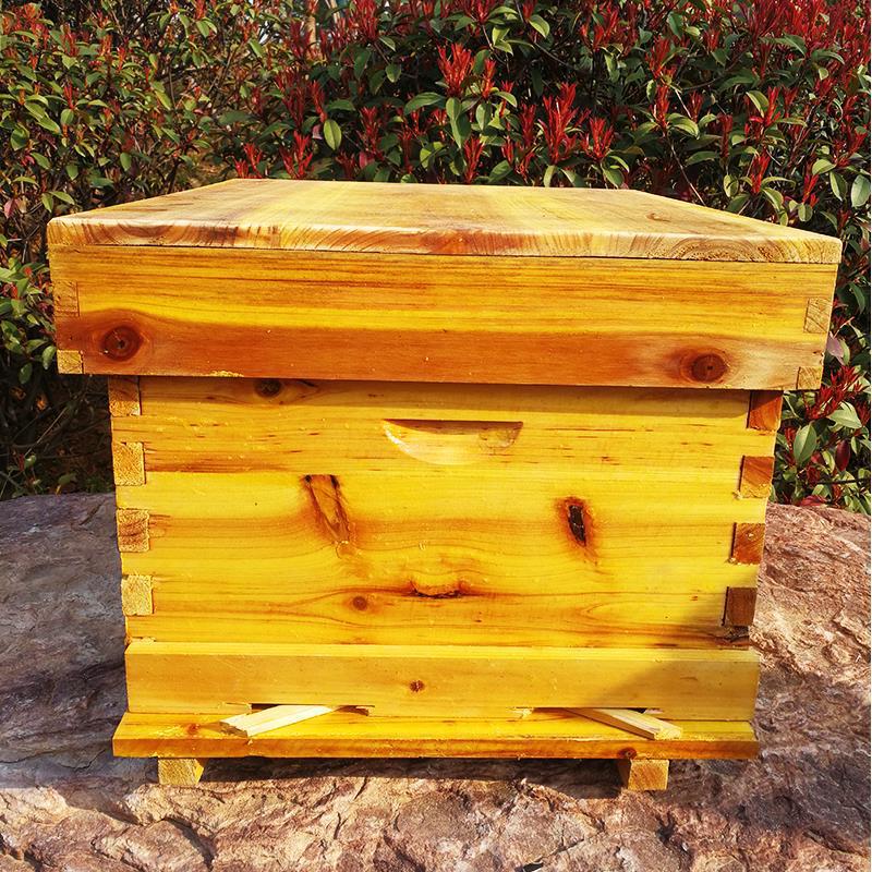 Bee beehive Full set of beekee - đánh giá và giá Beehive Frame Wax