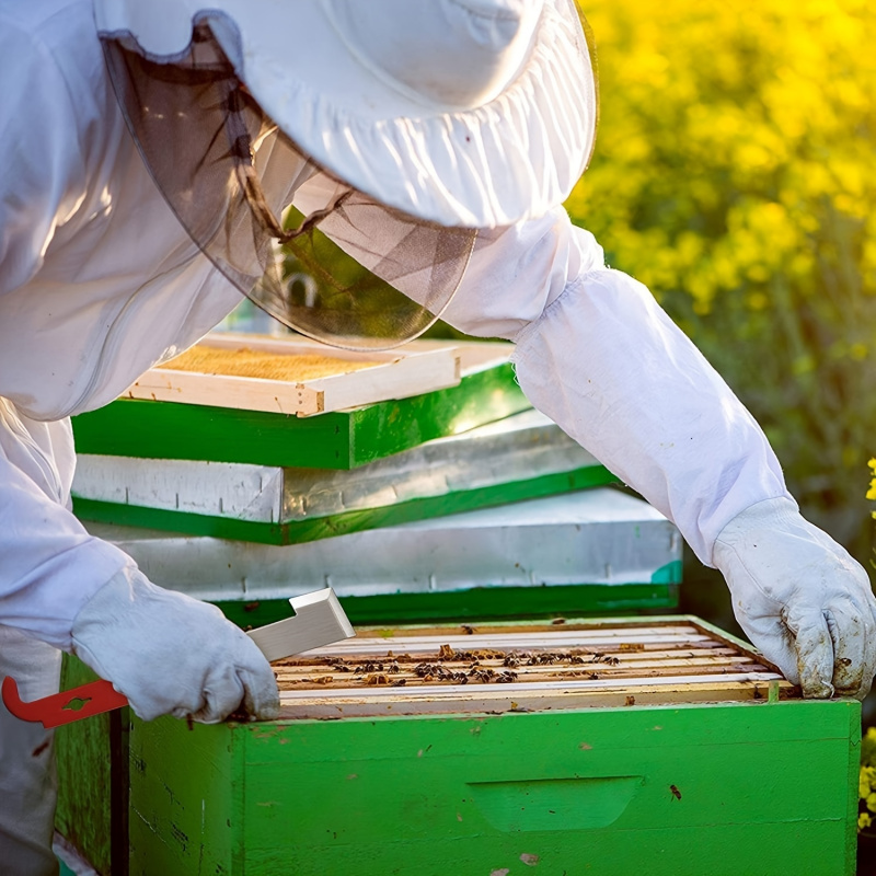 Bee Frame Scraper Multifunctio - đánh giá và giá Beehive Frame Wax