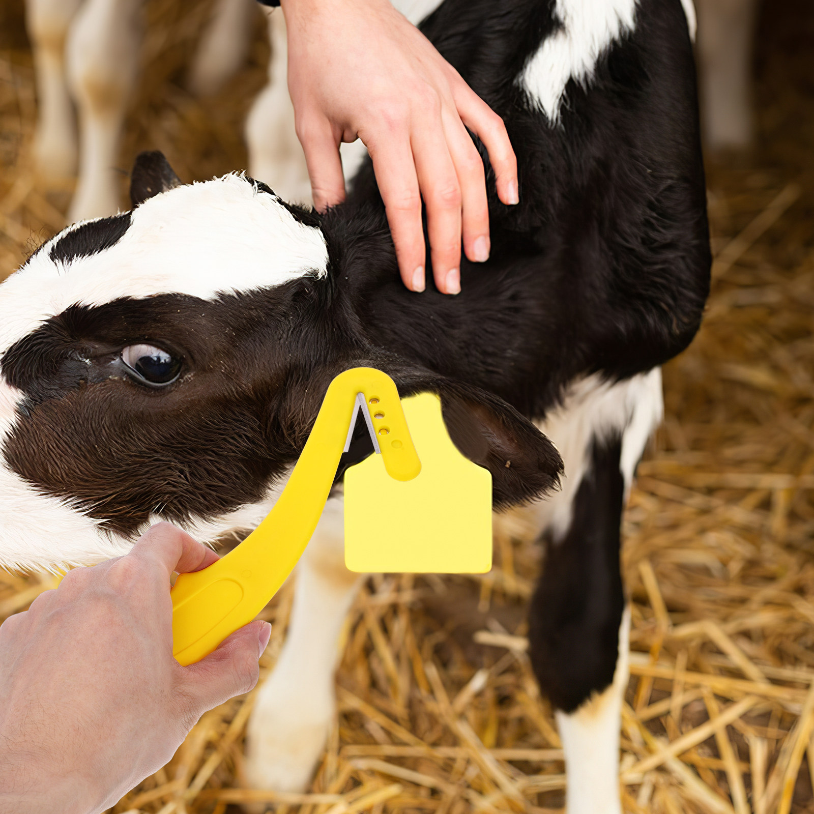 Livestock Ear Tag Remover 2Pcs - đánh giá và giá Livestock Ear Tag
