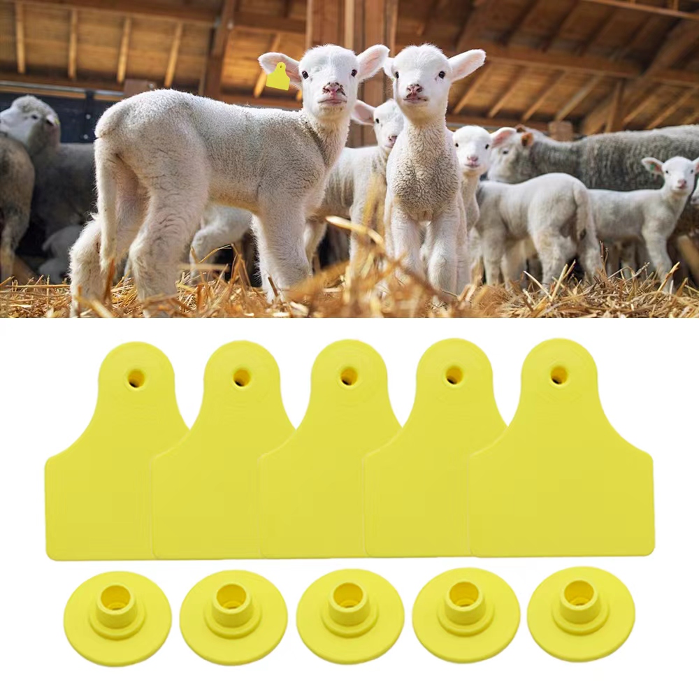 20 Pcs 40*50mm Goats Sheep Cat - đánh giá và giá Livestock Ear Tag